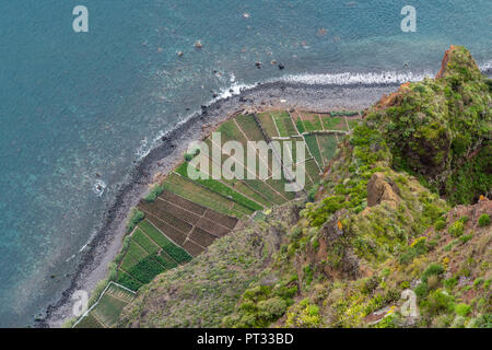 Die Plantagen und den Atlantik von Cabo Girao Skywalk und Aussichtspunkt, Camara de Lobos, Madeira, Portugal, Stockfoto