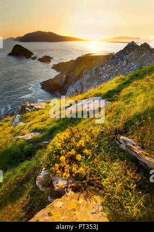 Dunmore Head, Blick Richtung Blasket Islands, dem westlichsten Punkt Europas, zusammen Slea Head Drive zwischen Dinle und in Dunquin auf der Dingle Halbinsel, West Irland, Stockfoto