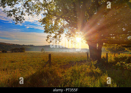 Sonnenaufgang über dem Haarstrang, glänzend in die nebligen moehnetal, Eiche Baum im Vordergrund, Ort: warstein - belecke, Sauerland, Deutschland; siehe ähnliche HDR-Bilder von Standort, Stockfoto