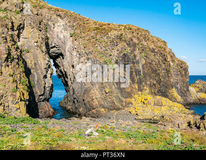 Natürliche See Loch namens Lady's Veil, fidra Insel, Firth-of-Forth, East Lothian, Schottland, Großbritannien Stockfoto