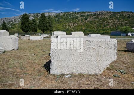 Stećci, alte megalithische Grabsteine an Radimlja alten Nekropole bei Vidovo Polje in der Nähe von Stolac, Bosnien und Herzegowina Stockfoto