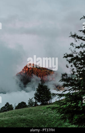 Kitzbüheler Alpen in der Abendsonne mit vielen Wolken, Bäume im Vordergrund. Stockfoto