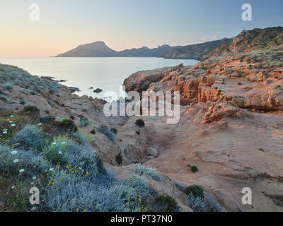 Abendstimmung am Capu Rossu, D'ARONE, Korsika, Frankreich Stockfoto