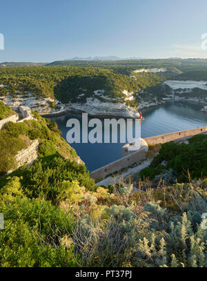 Bucht von Bonifacio, Corse, Korsika, Frankreich Stockfoto