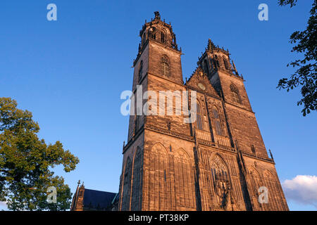 Magdeburger Dom St. Mauritius und Katharina, Magdeburg, Sachsen-Anhalt, Deutschland Stockfoto