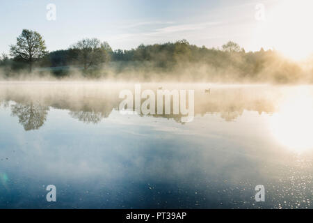 Sonnenaufgang und Nebel am Obersee in Bielefeld Stockfoto