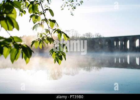 Sonnenaufgang und Nebel am Obersee in Bielefeld Stockfoto