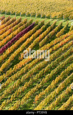 Deutschland, Baden-Württemberg, Kraichgau, Sulzfeld, Blick vom Turm der Burg Ravensburg, Stockfoto