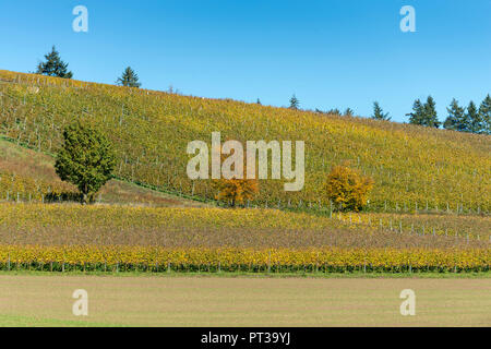 Deutschland, Baden-Württemberg, Kraichgau, Sulzfeld, Landschaft in der Nähe von Ravensburg Schloss, Stockfoto