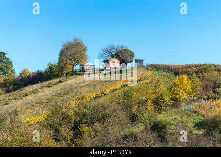 Deutschland, Baden-Württemberg, Kraichgau, Sulzfeld, Landschaft in der Nähe von Ravensburg Schloss, Stockfoto