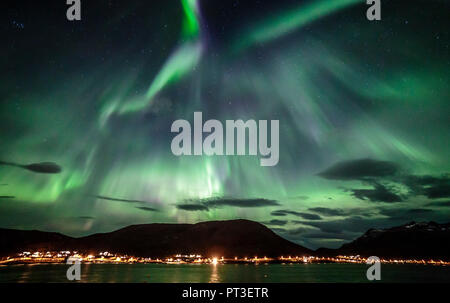 Aurora borealis oder Northern Lights, aktive, farbigen Vorhängen über Nacht Himmel, Polarkreis Kvaloya Insel Troms Tromso Norwegen Stockfoto