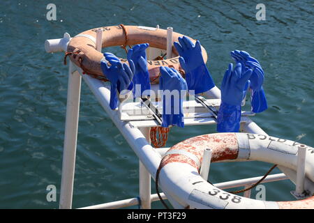 Blaue Handschuhe trocknen auf einem Fischerboot in Gourock Harbour, County Antrim, Nordirland, Großbritannien Stockfoto