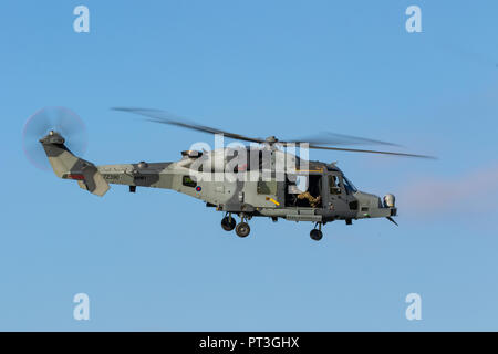 AgustaWestland AW159 Wildcat Stockfoto