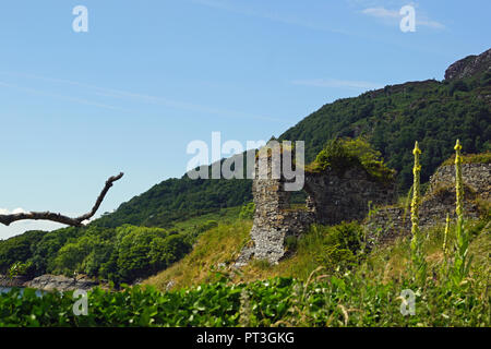 Strome Burg ist die Ruine einer lowland Castle am Ufer des Loch Carron in Stromemore, 5,5 km südwestlich des Dorfes Lochcarron. Stockfoto