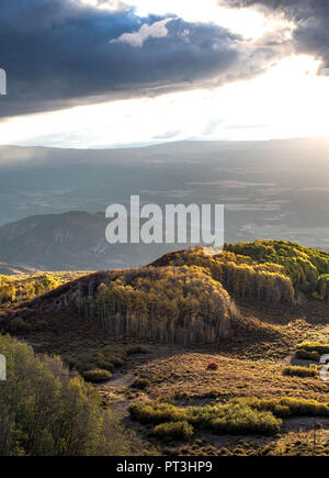 Colorado Sonnenuntergang Spritzer Herbst Farbe auf Olivenhaine von Aspen Bäume Stockfoto