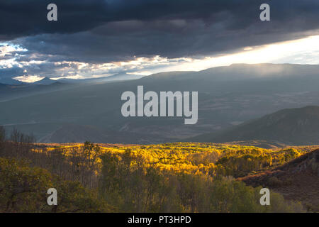 Colorado Sonnenuntergang Spritzer Herbst Farbe auf Olivenhaine von Aspen Bäume Stockfoto