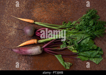 Bündel rohe Rote Bete und Karotten aus neuer Ernte auf rostigen melallic Oberfläche Hintergrund Stockfoto