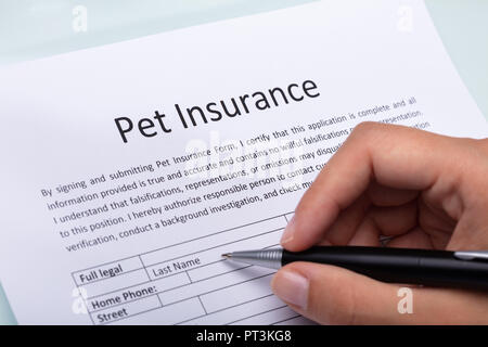 Nahaufnahme von einer Frau Hand Abfüllen Pet Insurance Form mit Stift Stockfoto