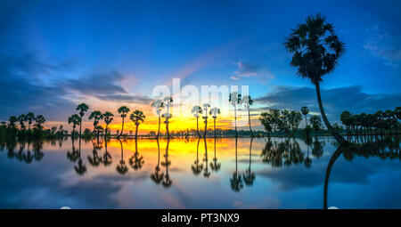 Bunte sunrise mit hohen Palmen, die sich in der dramatischen Himmel schöne Wolken und Silhouette auf der Oberfläche Wasser in ländlichen Mekong Delta spiegeln Stockfoto