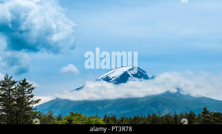 Frische, grüne Wälder und schöne Aussicht Mt. Fuji mit Schnee, blauer Himmel im Sommer bei Yamanashi, Japan. Stockfoto