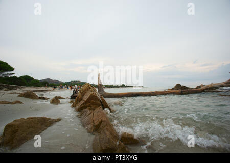 Bidderosa Strand und Naturpark, Orosei, Sardinien, Italien. Stockfoto