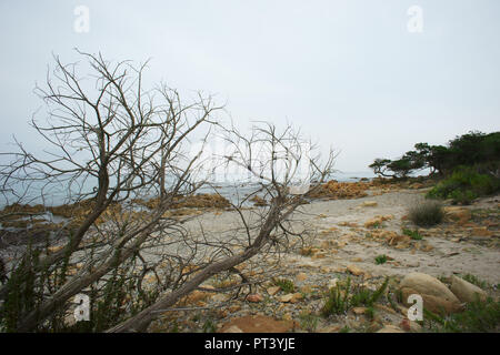 Bidderosa Strand und Naturpark, Orosei, Sardinien, Italien. Stockfoto