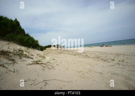 Bidderosa Strand und Naturpark, Orosei, Sardinien, Italien. Stockfoto