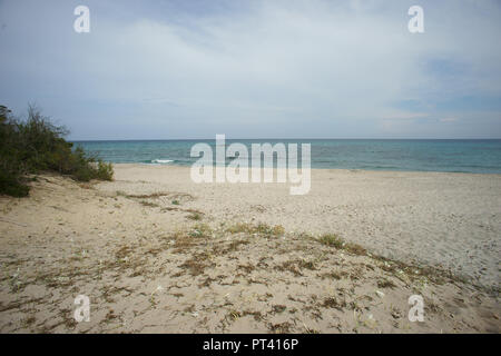 Berchida Strand, in der Nähe von bidderosa Strand und Naturpark, Orosei, Sardinien, Italien. Stockfoto