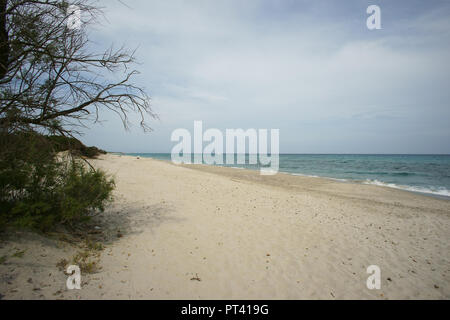 Berchida Strand, in der Nähe von bidderosa Strand und Naturpark, Orosei, Sardinien, Italien. Stockfoto