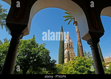 Mezquita-Catedral de Córdoba, Córdoba, Andalusien, Spanien Stockfoto