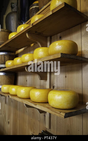 Artisan Edamer, Detail der Niederländischen Käseherstellung Stockfoto