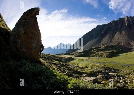 Hochmoor Bereich hohes Moos im Morgenlicht, Stubaier Alpen, Tirol, Österreich. Stockfoto