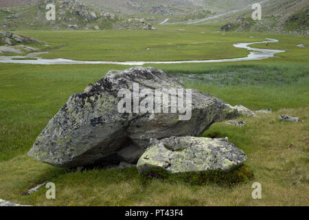 Hochmoor Bereich hohes Moos im Morgenlicht, Stubaier Alpen, Tirol, Österreich. Stockfoto