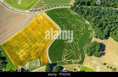 Mais Labyrinth mit Russischen Fußball-Emblem in Cappenberg, Bauernhof Lünemann, Selm, Ruhrgebiet, Nordrhein-Westfalen, Deutschland Stockfoto
