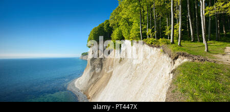 Deutschland, Mecklenburg-Vorpommern, Insel Rügen, Nationalpark Jasmund, Blick vom hohen Ufer zu den Kreidefelsen und zur Ostsee, Frühling, frisches Grün Stockfoto