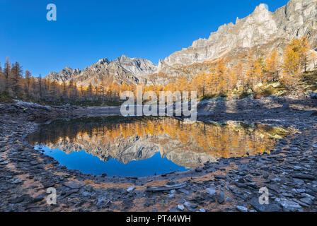 Die Nero See im Herbst unmittelbar nach dem Sonnenaufgang (Buscagna Tal, Alpe Devero, Alpe Veglia und Alpe Devero Naturpark, Baceno, Provinz Verbano Cusio Ossola, Piemont, Italien, Europa) Stockfoto