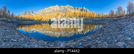 Einen Panoramablick auf die Nero See im Herbst unmittelbar nach dem Sonnenaufgang (Buscagna Tal, Alpe Devero, Alpe Veglia und Alpe Devero Naturpark, Baceno, Provinz Verbano Cusio Ossola, Piemont, Italien, Europa) Stockfoto