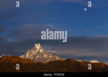 Matschaputschare bei Sonnenuntergang, Himalaya, Nepal Stockfoto