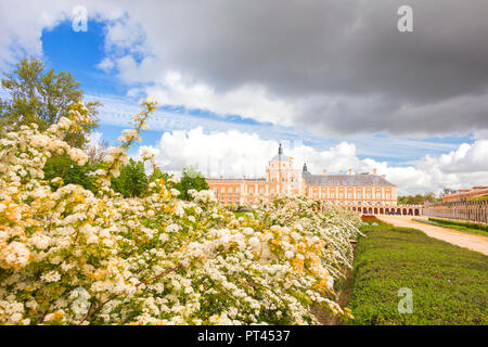 Dekorative Blumen und Gärten, den königlichen Palast von Aranjuez (Palacio Real), Gemeinschaft von Madrid, Spanien Stockfoto