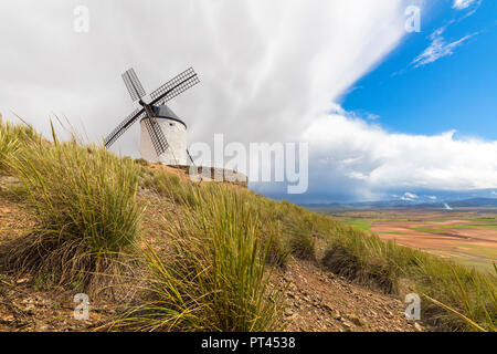 Windmühle auf dem Hügel, Consuegra, Don Quixote route, Provinz Toledo, Kastilien-La Mancha, Spanien Stockfoto