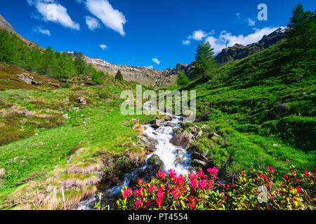 Valle delle Messi, Ponte di Legno, Provinz Brescia, Lombardei, Italien, Stockfoto