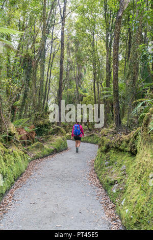 Frau zu Fuß die Te Ara Kairaumati Trail Gehen, Lake Matheson, Fox Glacier Village, West Coast Region, South Island, Neuseeland, Stockfoto