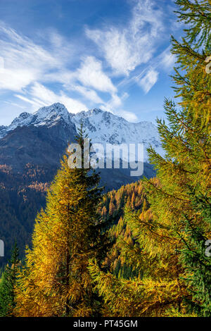 Monte Disgrazia im Herbst Jahreszeit, Chiareggio, Valmalenco, Provinz Sondrio, Lombardei, Italien Stockfoto