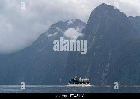 Boot und Berge im Milford Sound im Sommer, Fjordland NP, Süden, Süden Region, South Island, Neuseeland, Stockfoto