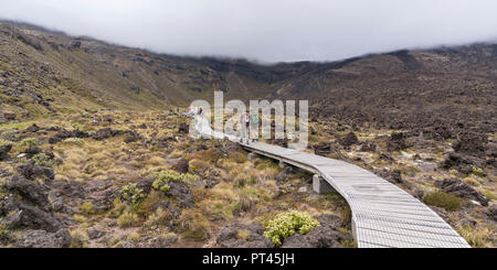 Wanderer Wandern auf dem Wanderweg der Tongariro Alpine Crossing an bewölkten Tag, Tongariro NP, North Island, Neuseeland, Stockfoto