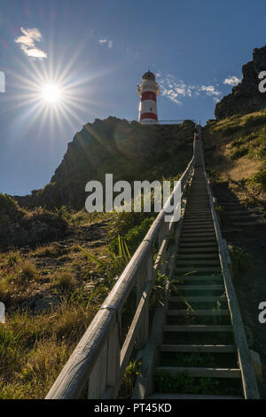 Schritte Cape Palliser Leuchtturm zu erreichen, Cape Palliser, Wellington region, North Island, Neuseeland, Stockfoto