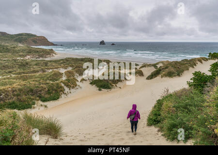 Frau zu Fuß in Richtung Sandfly Bay an einem bewölkten Sommertag, Dunedin, Otago Region, South Island, Neuseeland, Stockfoto