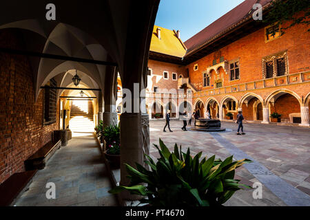 Europa, Polen, Kleinpolen, Krakau, Collegium Maius - der Jagiellonen Universität Stockfoto