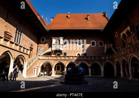 Europa, Polen, Kleinpolen, Krakau, Collegium Maius - der Jagiellonen Universität Stockfoto