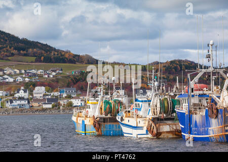 Kanada, Quebec, Gaspe Halbinsel, Riviere-au-Renard, Fischerhafen Stockfoto